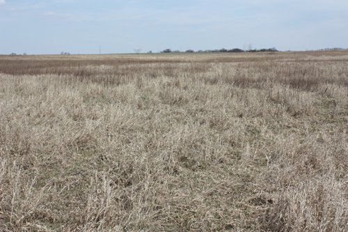 Property photo 8 - 194.67 Acres Offered in 2 Tracts